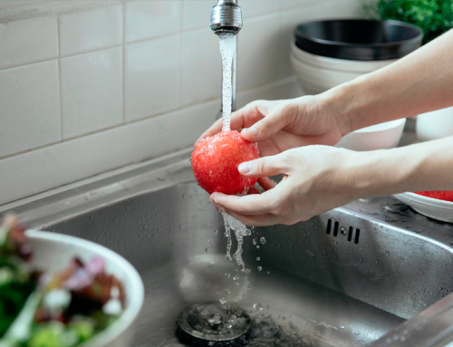 Seguridad y Calidad del agua utilizada en frutas y verduras frescas